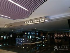 -武商摩尔影城(国广IMAX激光店)