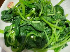 -阳阳中国饭(北京荟聚店)