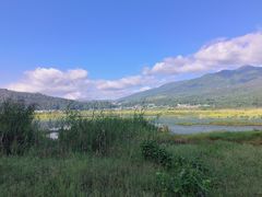 -腾冲北海湿地