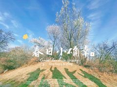 -国家植物园南园