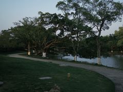 -江心屿景区