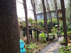 -林间山庄
