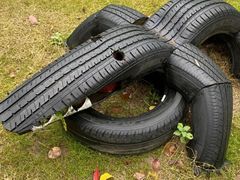 -前小桔亲子创意农场·草莓采摘·露营烧烤