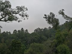 -广州雕塑公园