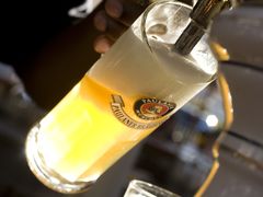 鲜啤-Paulaner·德国帕拉娜自酿啤酒餐厅(海上世界店)