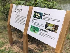 -桤木河湿地公园