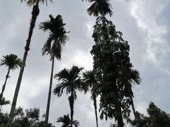 -呀诺达热带雨林
