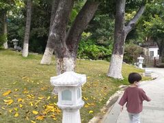-珠海圆明新园