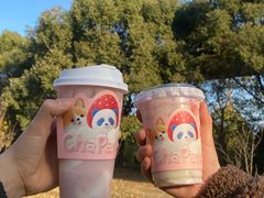 -茶百道(荣科路店)
