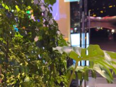 -沈胖子音乐烤吧·炒菜·龙虾(环城东路店)