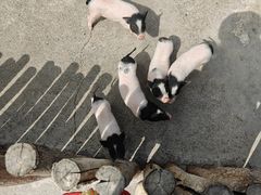 -水上乐园·欢乐世界