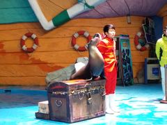 -烟台海昌鲸鲨海洋公园