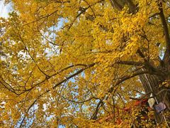 -金堂县云顶石城风景区