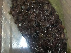 绿豆沙馅儿血糯米切糕-清真老西北角温记粘食店(长沙路店)