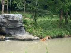 -宁波野生动物园