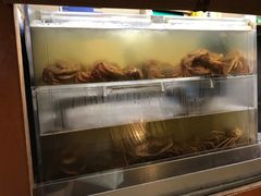 -蟹道乐(新宿本店)