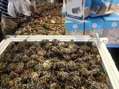 -盒马鲜生(大成店)