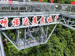 -呀诺达热带雨林