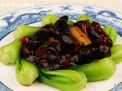 葱烧海参-龙凤山庄(永定镇店)