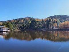 -庐山风景区花径公园