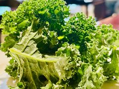 -广州希尔顿逸林酒店-OPEN開·全日制餐厅·海鲜·小火锅·自助餐(东风路店)