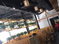 -桃源村铁锅炖鱼(体育馆道店)