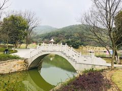 -龙寺生态园