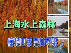 -上海海湾国家森林公园