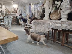 -共舞时光猫咖·狗咖(新街口店)