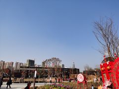 -三圣花乡旅游区