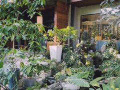 -谷咖啡·鲜花绿植花园餐厅