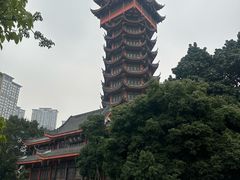 -塔子山公园