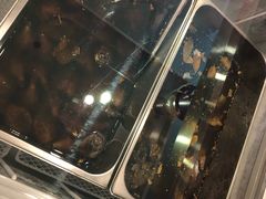 麻辣兔头-鸿运兔·手撕烤兔(天府广场店)