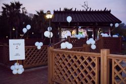 -派对猴生日派对策划(浦东店)