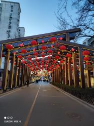 -中国黄金(北京旗舰店)