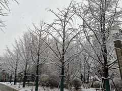 -Apple零售店(中街大悦城店)