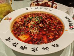 -涿掌柜·涿州宴