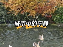 -活水公园