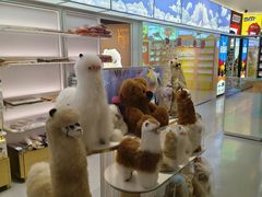 -国药中服免税(北京坊店)