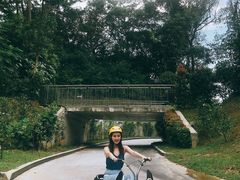 -圣淘沙天际线斜坡滑车
