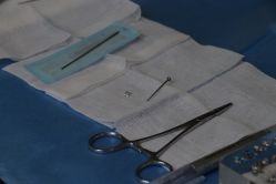 -众刺纹画·纹身·穿孔饰品·海娜定制