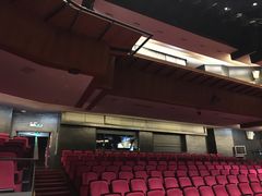 -顺德演艺中心大剧院