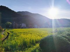 -北仑森林植物园