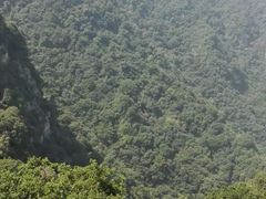 -少华山国家森林公园