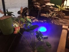 -佬麻雀·新湘菜(珠海金发购物中心店)