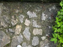 -南山植物园