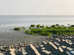 -秦臻海鲜农家乐(奉贤店)