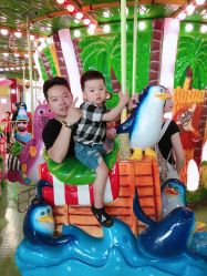 -维佳童话镇演出现场(徐东店)