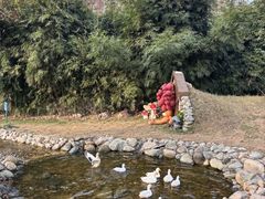 -HERRE·FARM 赫尔露营农场·团建聚会包场