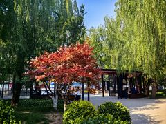 -海棠花溪(元大都城垣遗址公园)